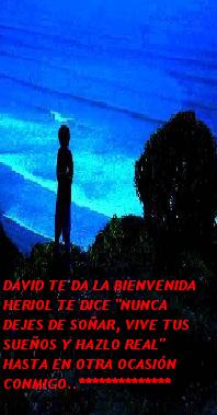 Diario de Heriol
